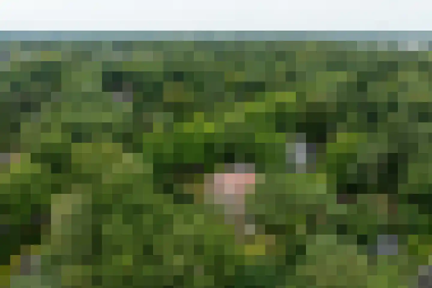 F.A. Molijnlaan 88 Nunspeet thumbnail 86