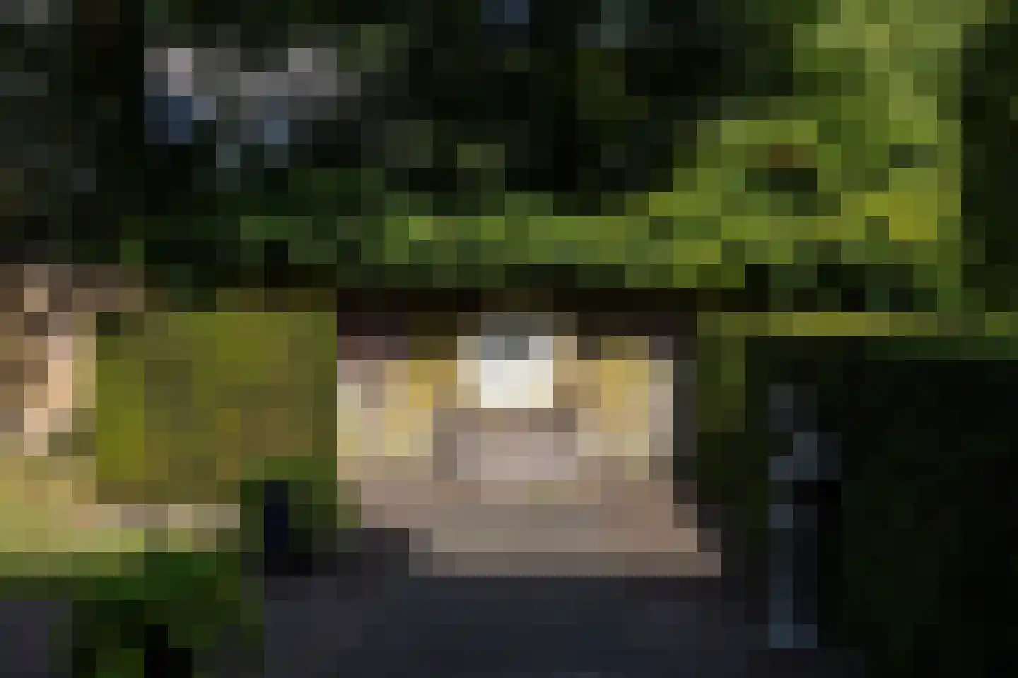 F.A. Molijnlaan 88 Nunspeet thumbnail 87