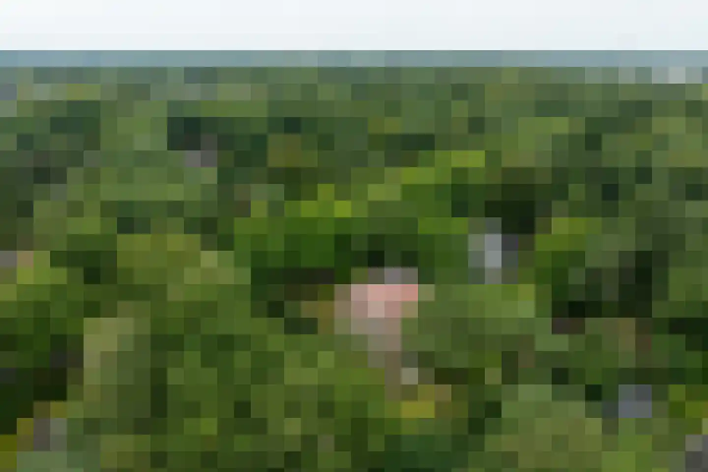 F.A. Molijnlaan 88 Nunspeet thumbnail 87