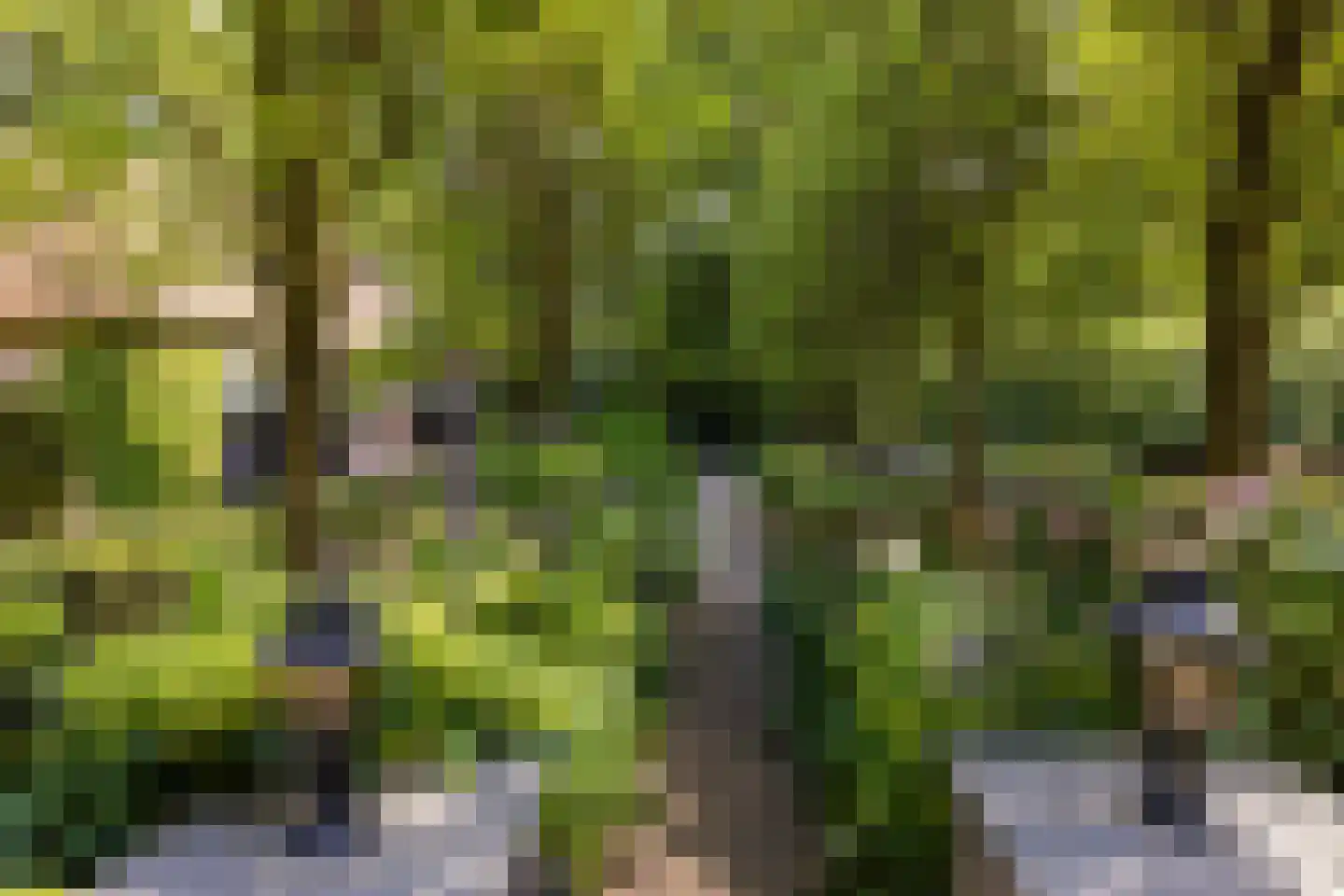 F.A. Molijnlaan 88 Nunspeet thumbnail 88