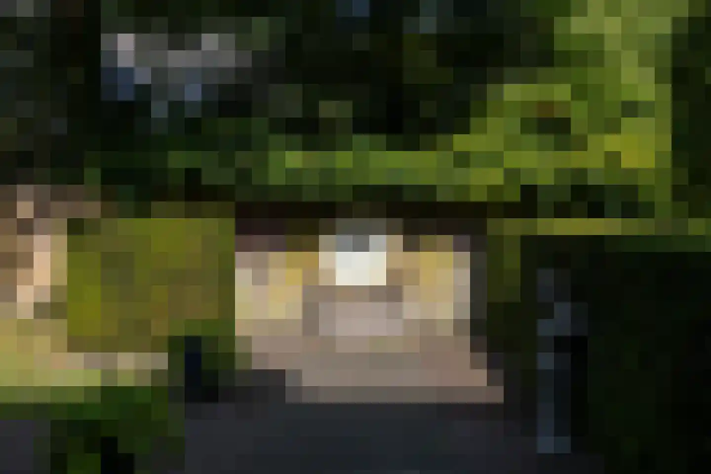 F.A. Molijnlaan 88 Nunspeet thumbnail 88
