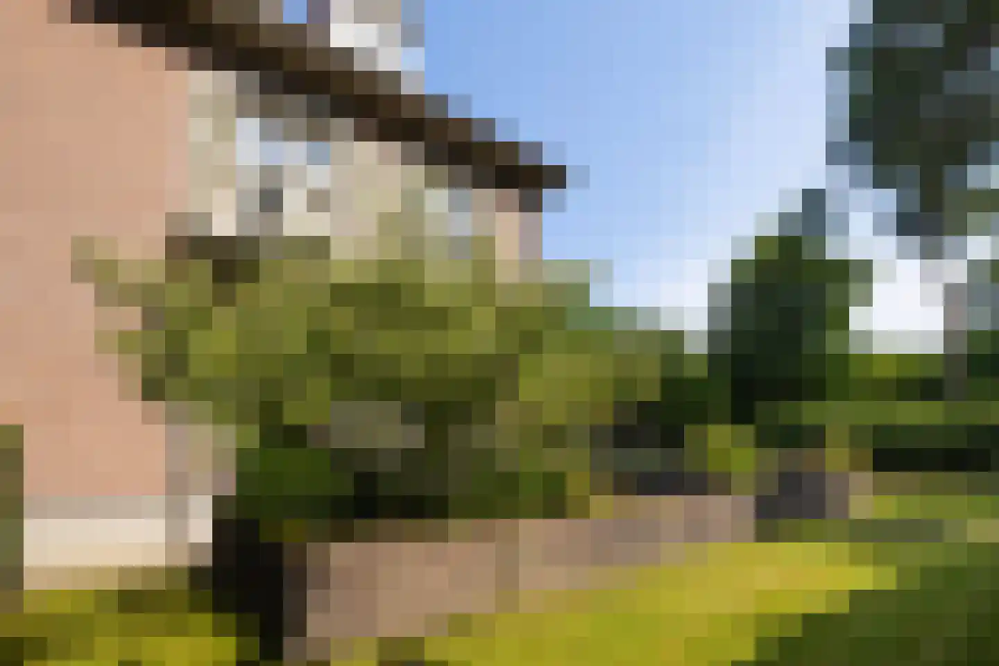 F.A. Molijnlaan 88 Nunspeet thumbnail 89