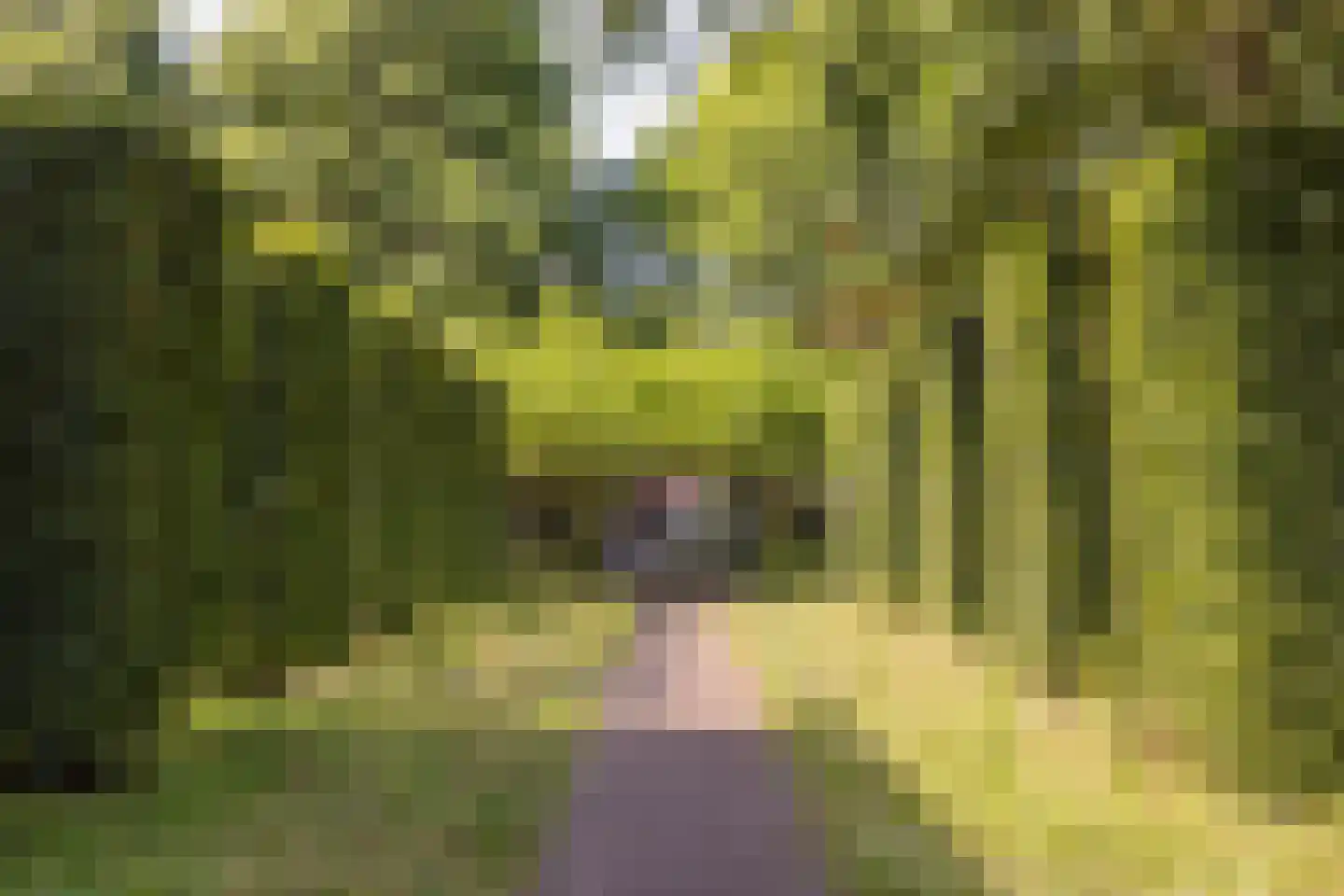 F.A. Molijnlaan 88 Nunspeet thumbnail 91