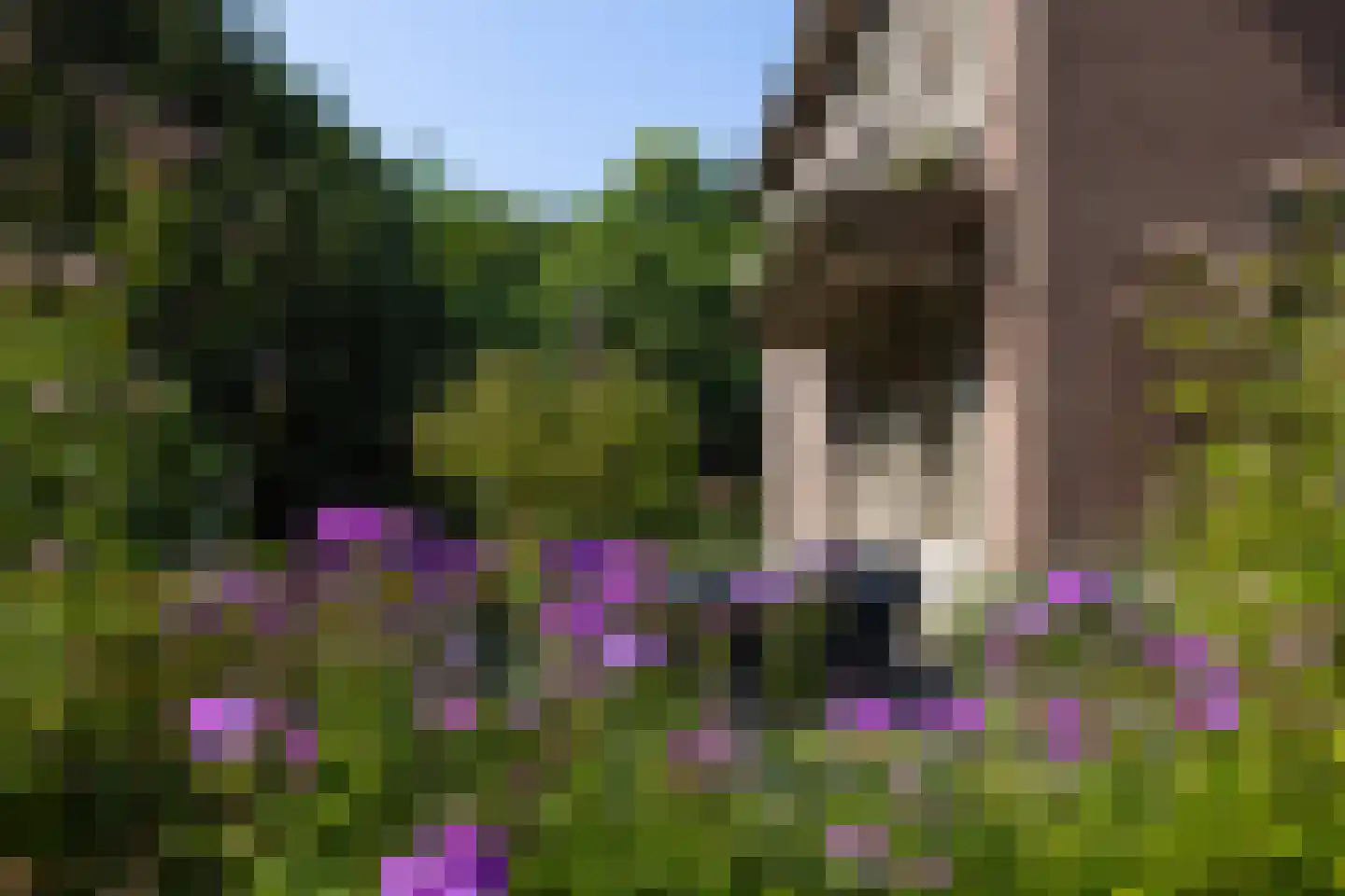 F.A. Molijnlaan 88 Nunspeet thumbnail 92