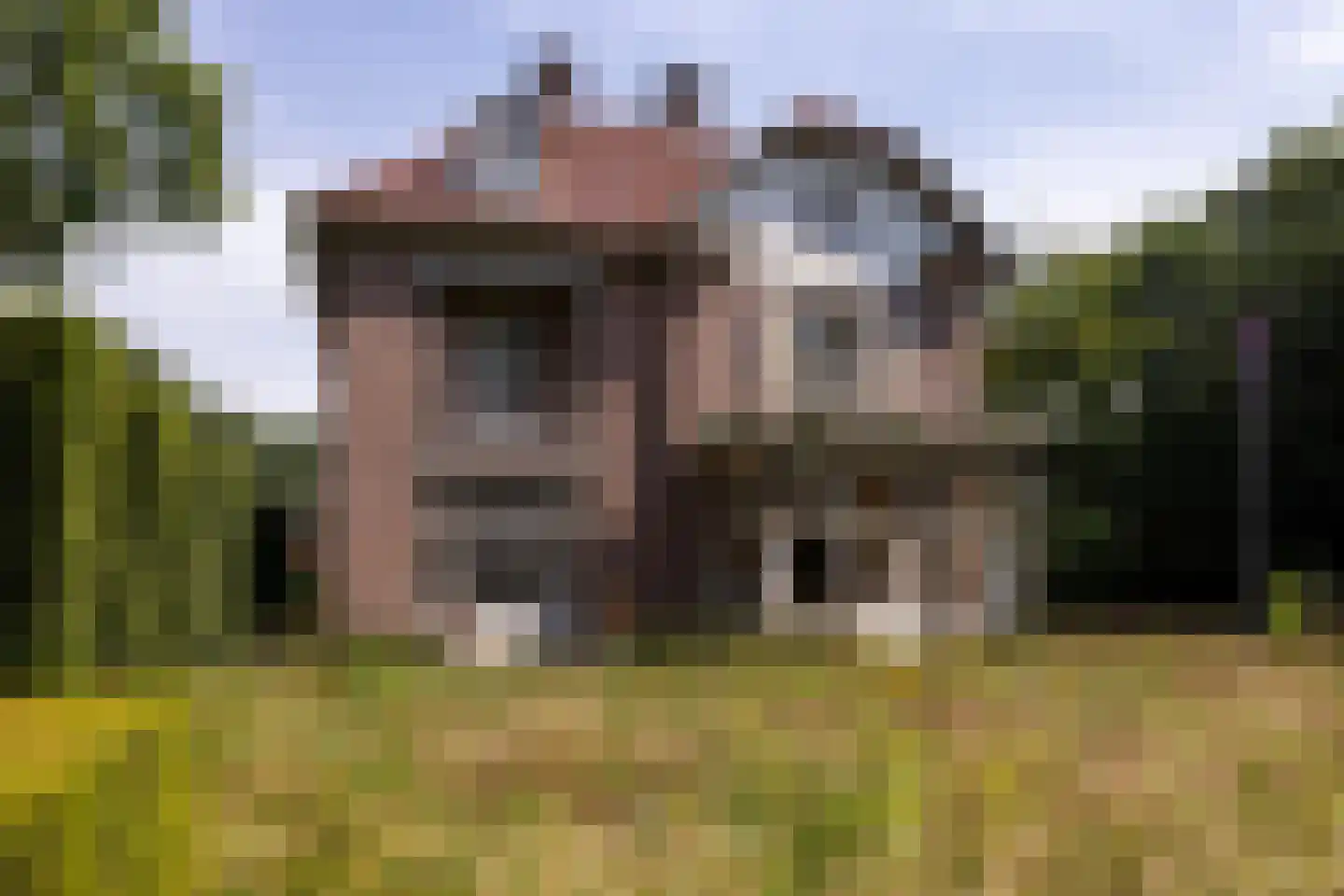 F.A. Molijnlaan 88 Nunspeet thumbnail 95