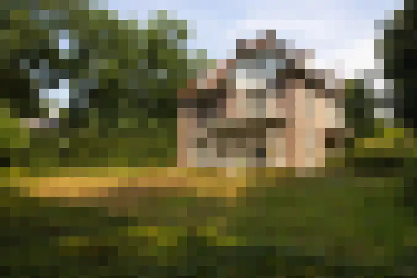 F.A. Molijnlaan 88 Nunspeet thumbnail 96