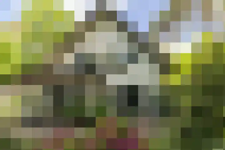 F.A. Molijnlaan 93 Nunspeet thumbnail 10