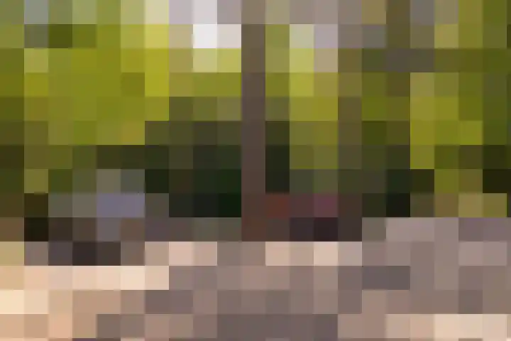 F.A. Molijnlaan 93 Nunspeet thumbnail 12