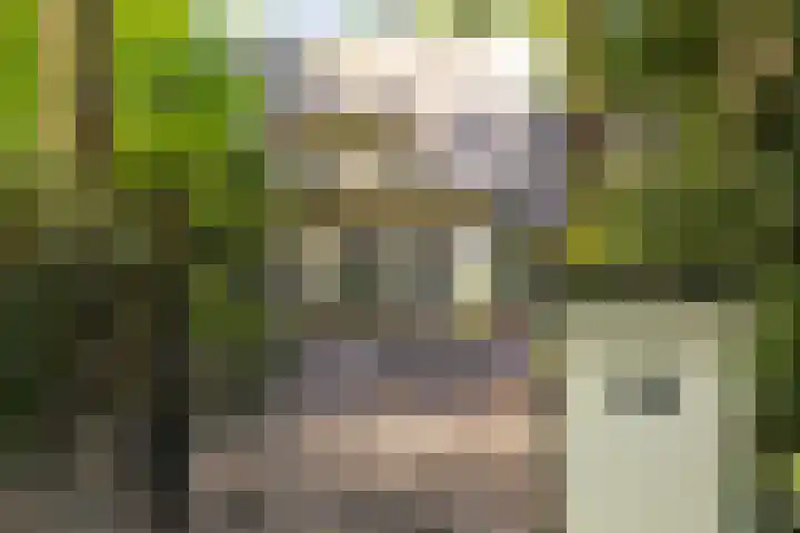 F.A. Molijnlaan 93 Nunspeet thumbnail 13