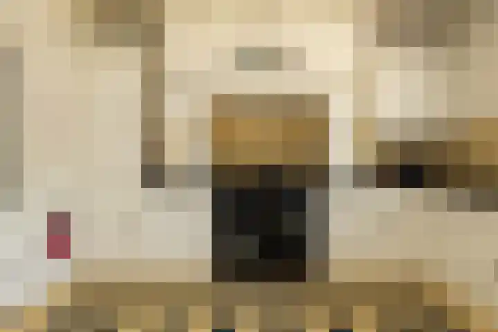 F.A. Molijnlaan 93 Nunspeet thumbnail 24