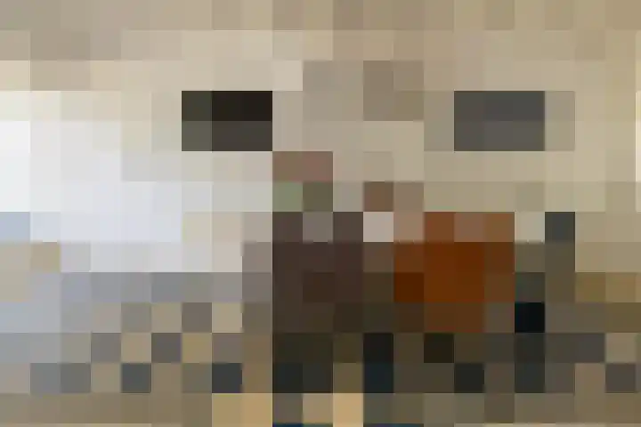 F.A. Molijnlaan 93 Nunspeet thumbnail 26