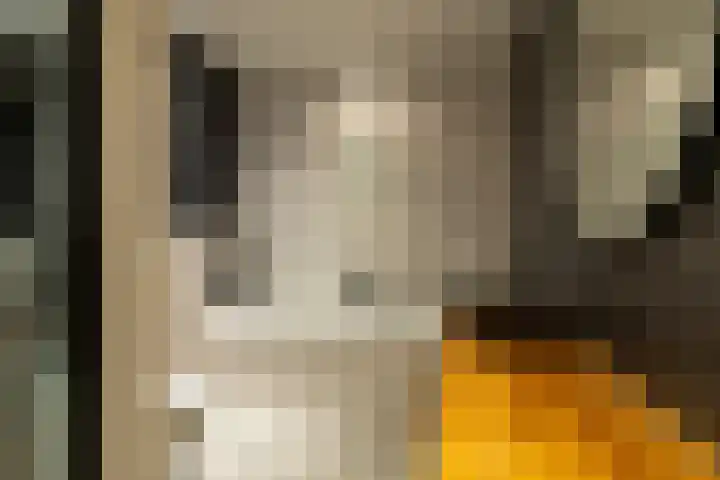 F.A. Molijnlaan 93 Nunspeet thumbnail 31