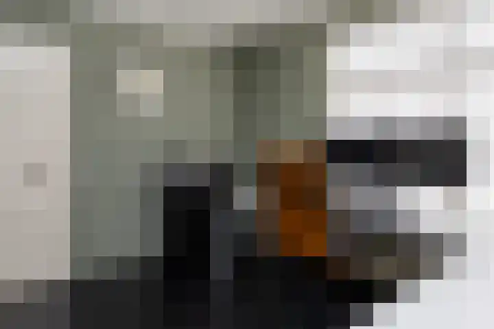 F.A. Molijnlaan 93 Nunspeet thumbnail 34