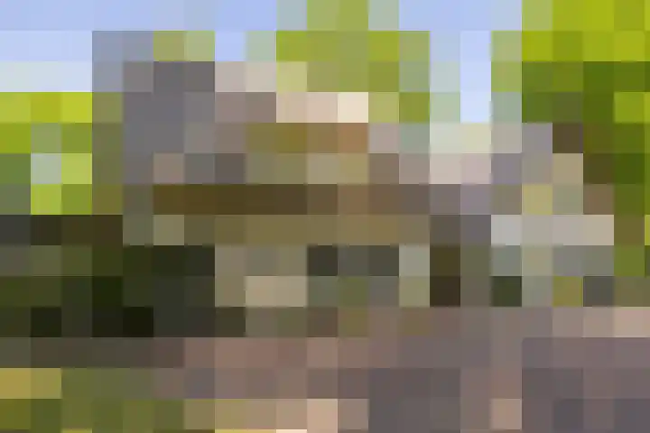 F.A. Molijnlaan 93 Nunspeet thumbnail 4
