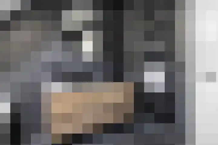 F.A. Molijnlaan 93 Nunspeet thumbnail 41