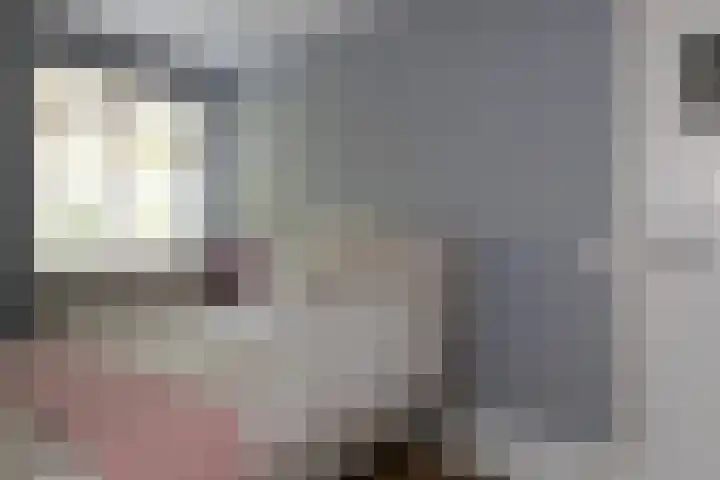 F.A. Molijnlaan 93 Nunspeet thumbnail 47