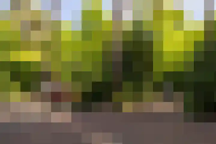 F.A. Molijnlaan 93 Nunspeet thumbnail 49