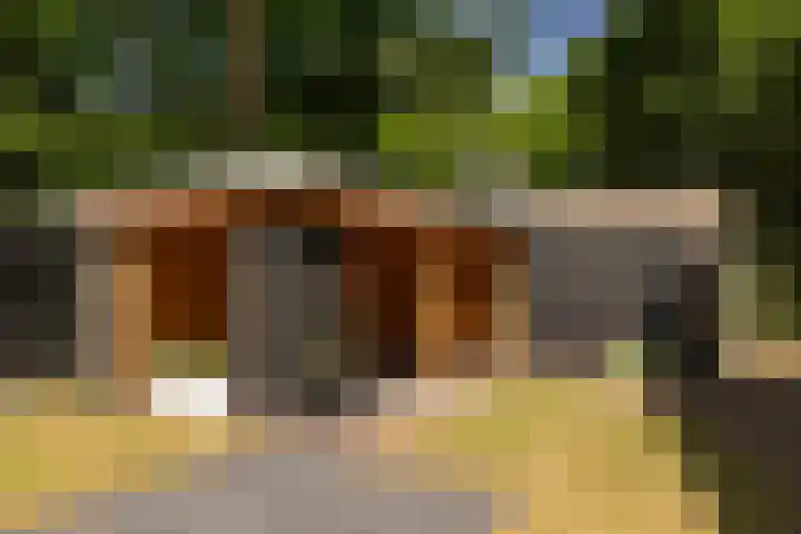 F.A. Molijnlaan 93 Nunspeet thumbnail 50