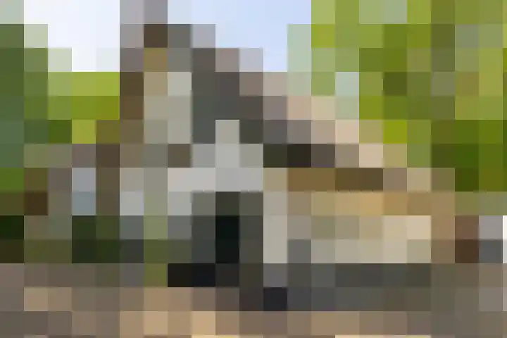F.A. Molijnlaan 93 Nunspeet thumbnail 6