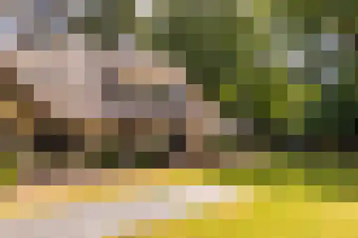 F.A. Molijnlaan 93 Nunspeet thumbnail 8