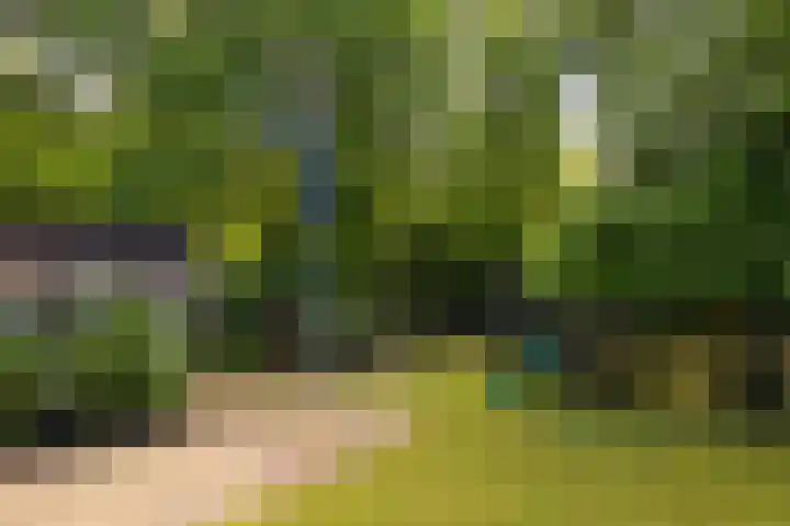 F.A. Molijnlaan 93 Nunspeet thumbnail 9