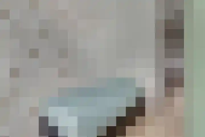F.A. Sesselersingel 29 Valkenburg thumbnail 24