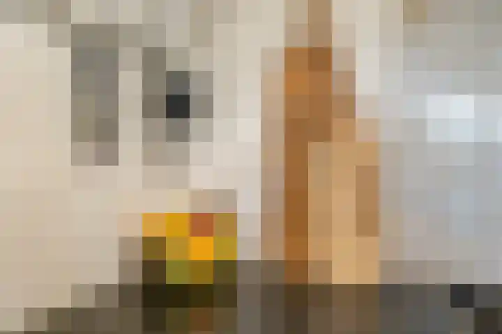 F.A. van Hallstraat 2 Hei- en Boeicop thumbnail 11