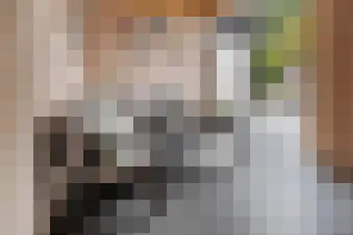 F.A. van Hallstraat 2 Hei- en Boeicop thumbnail 17
