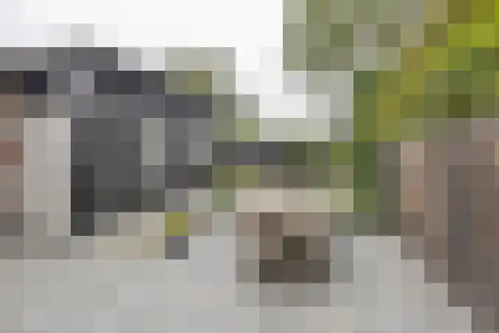 F.A. van Hallstraat 2 Hei- en Boeicop thumbnail 18
