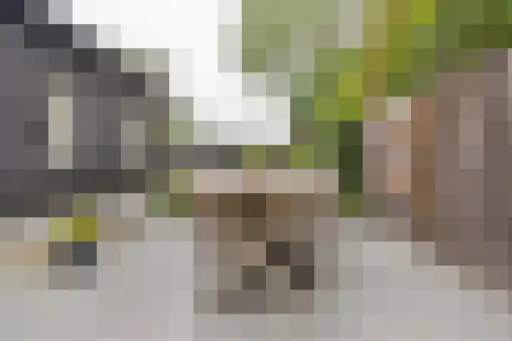F.A. van Hallstraat 2 Hei- en Boeicop thumbnail 20