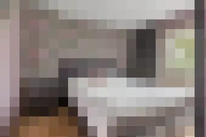 F.A. van Hallstraat 2 Hei- en Boeicop thumbnail 21
