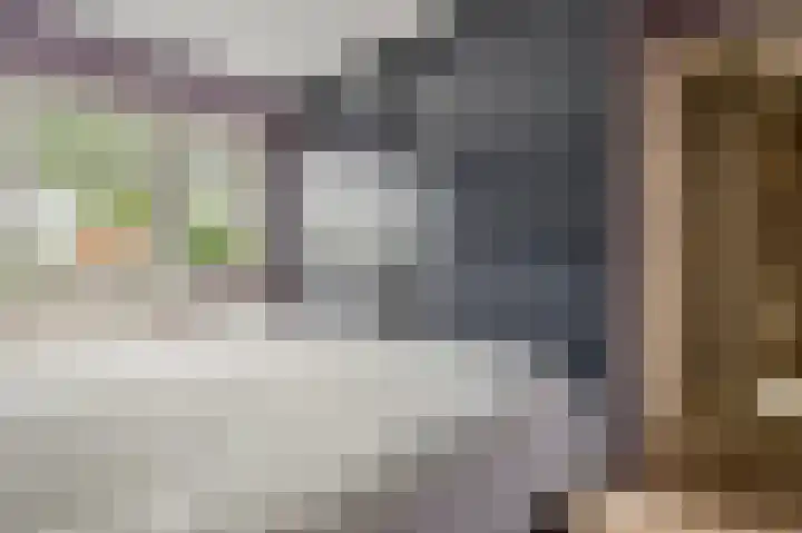F.A. van Hallstraat 2 Hei- en Boeicop thumbnail 22