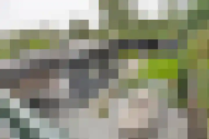 F.A. van Hallstraat 2 Hei- en Boeicop thumbnail 25