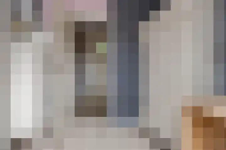 F.A. van Hallstraat 2 Hei- en Boeicop thumbnail 30