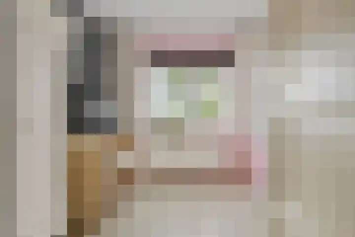F.A. van Hallstraat 2 Hei- en Boeicop thumbnail 31