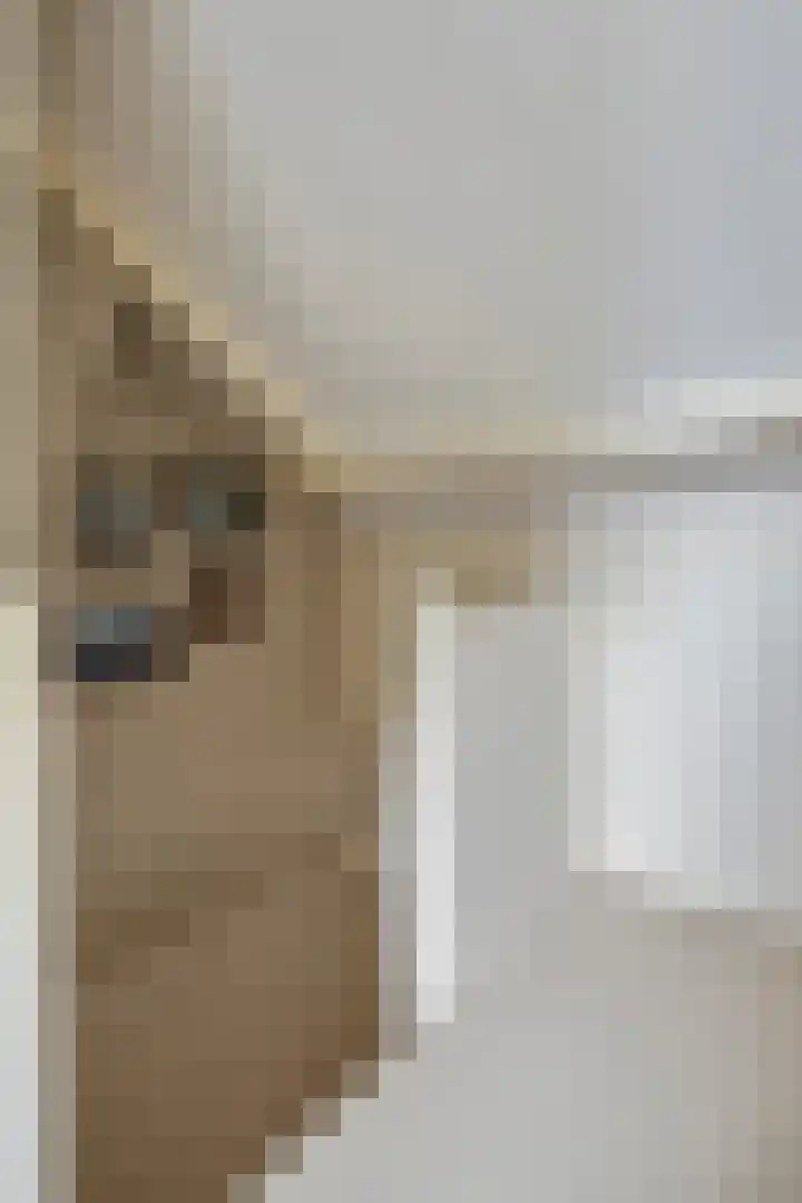 F.A. van Hallstraat 2 Hei- en Boeicop thumbnail 32