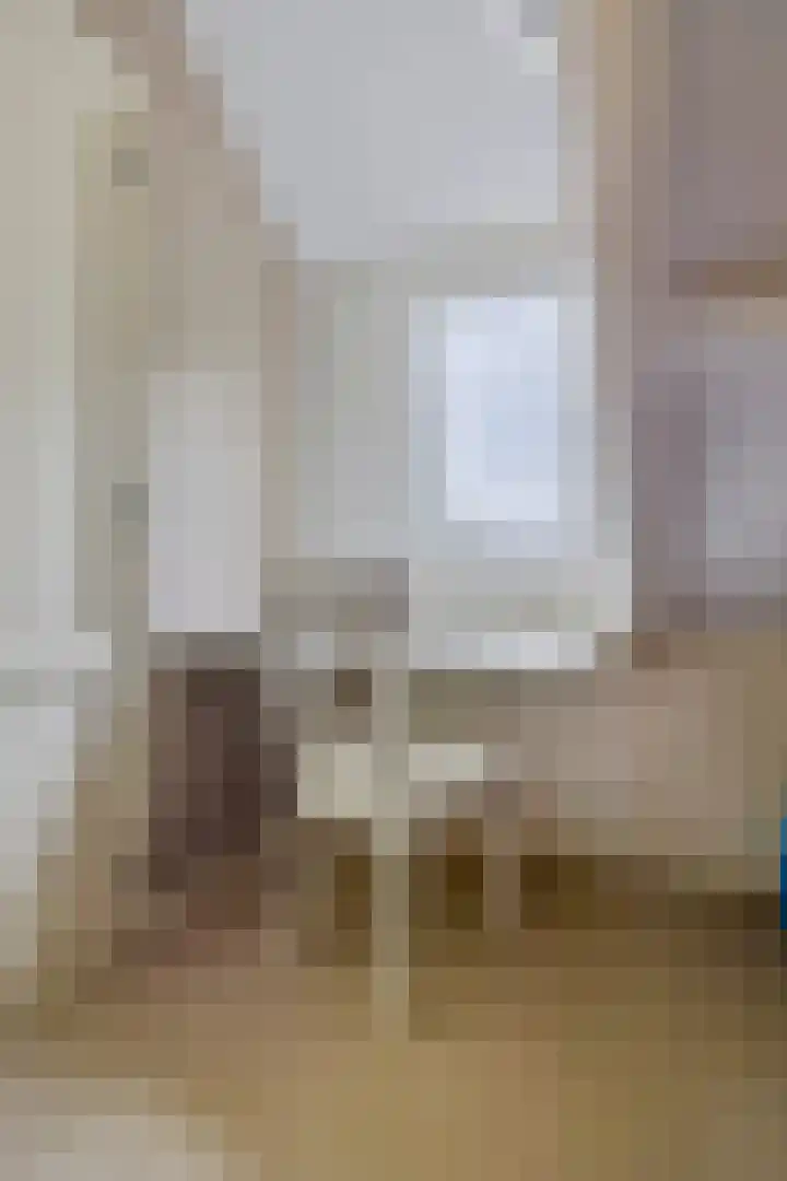 F.A. van Hallstraat 2 Hei- en Boeicop thumbnail 33