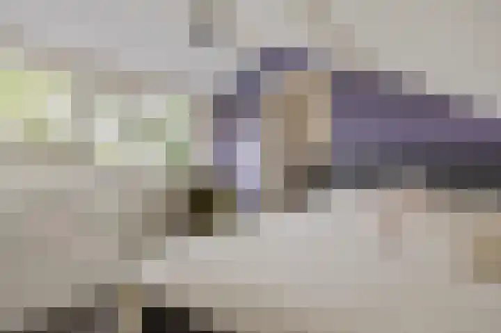 F.A. van Hallstraat 2 Hei- en Boeicop thumbnail 35