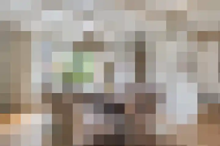F.A. van Hallstraat 2 Hei- en Boeicop thumbnail 4
