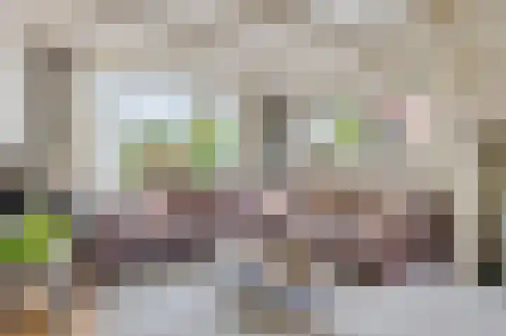 F.A. van Hallstraat 2 Hei- en Boeicop thumbnail 5