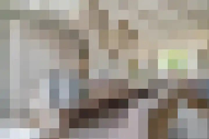 F.A. van Hallstraat 2 Hei- en Boeicop thumbnail 6