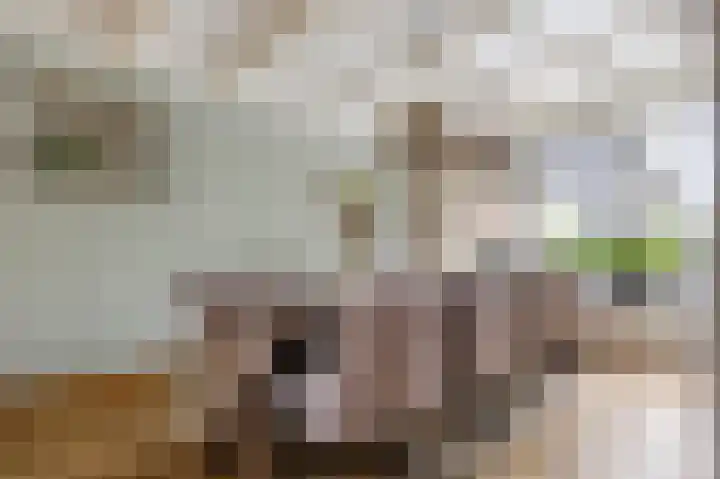 F.A. van Hallstraat 2 Hei- en Boeicop thumbnail 7