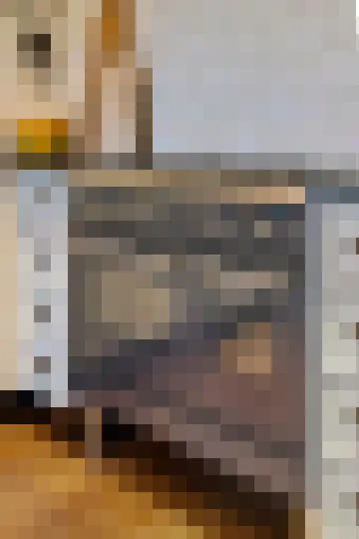 F.A. van Hallstraat 2 Hei- en Boeicop thumbnail 9