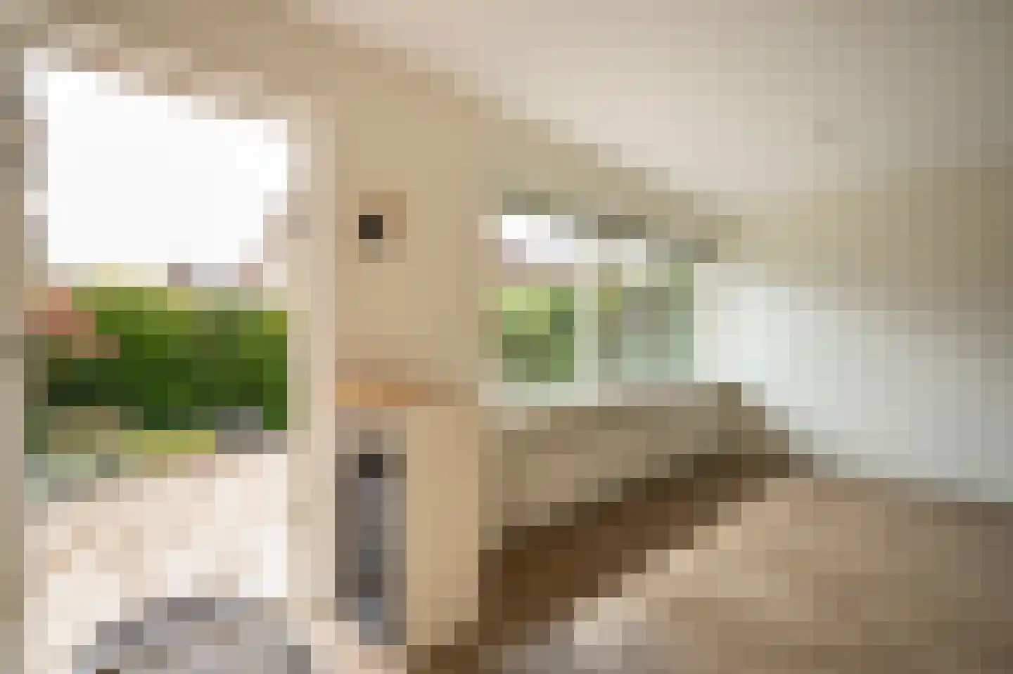 F.A. Wonninkstraat 23 Meteren thumbnail 12
