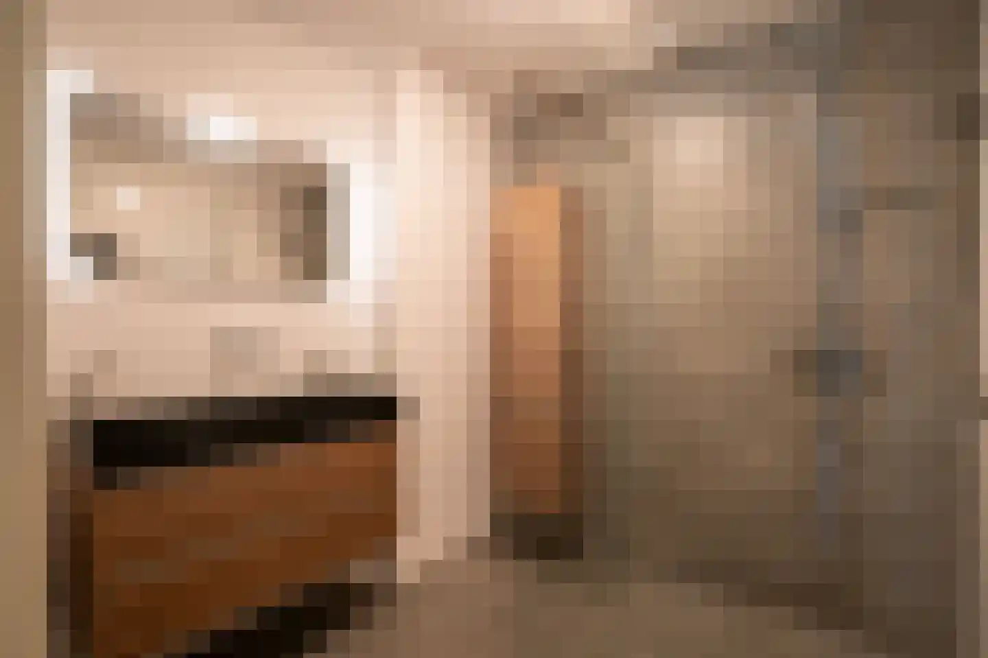 F.A. Wonninkstraat 23 Meteren thumbnail 4