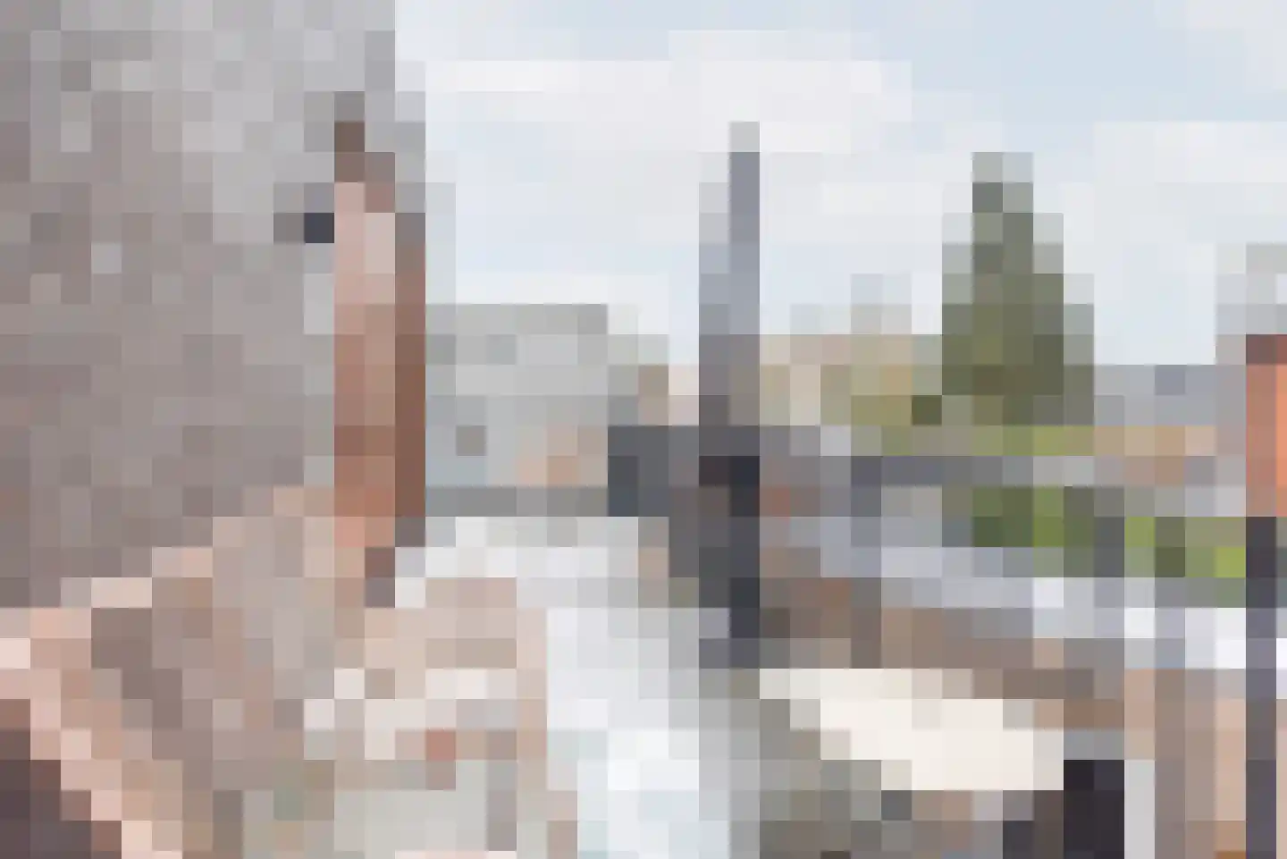 F B Deurvorststraat 65 Ulft thumbnail 18