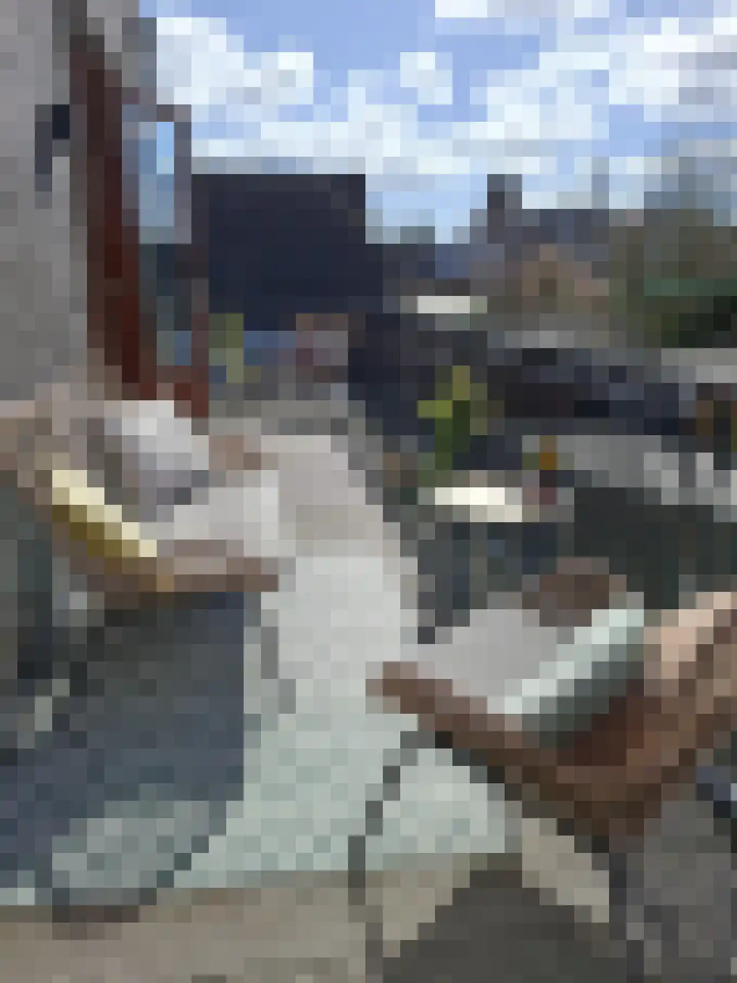 F B Deurvorststraat 65 Ulft thumbnail 19