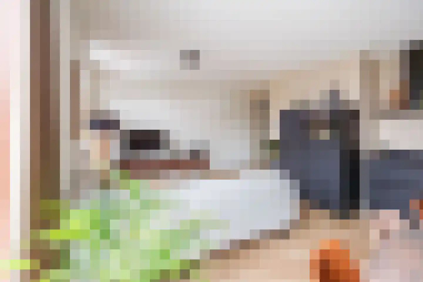 F B Deurvorststraat 65 Ulft thumbnail 21