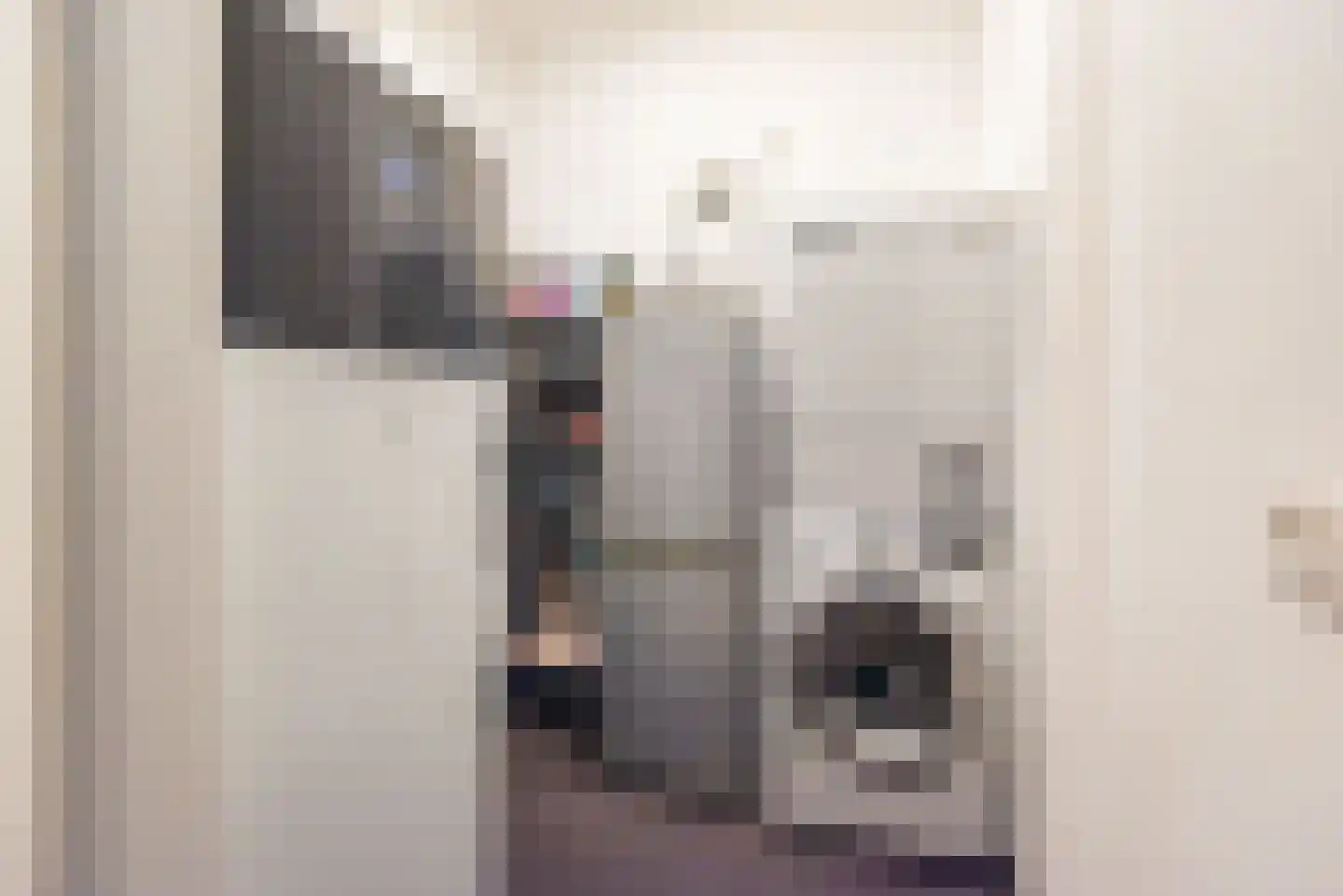 F B Deurvorststraat 65 Ulft thumbnail 30