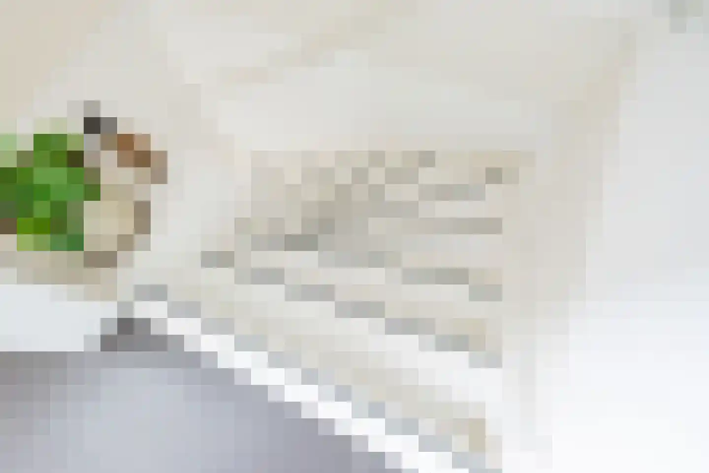 F B Deurvorststraat 65 Ulft thumbnail 8